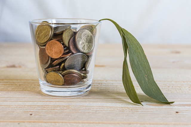 image of a leaf in a glass filled with coins