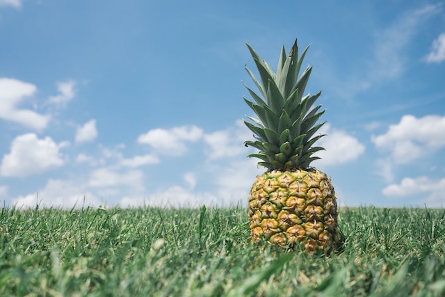 Image of a pineapple